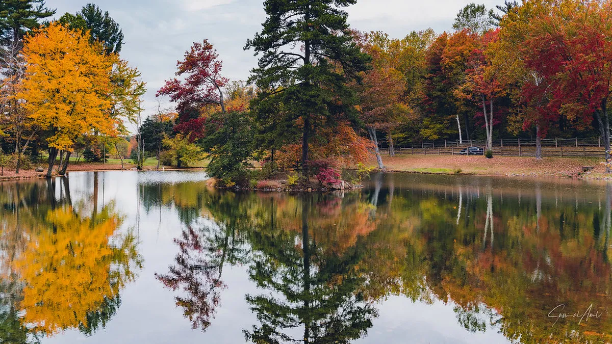 Best Time for Minoo Park Foliage: Seasonal Guide
