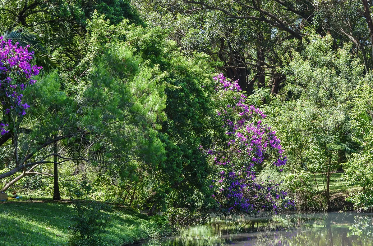 Free Admission Gardens and Forests in Sapporo Guide