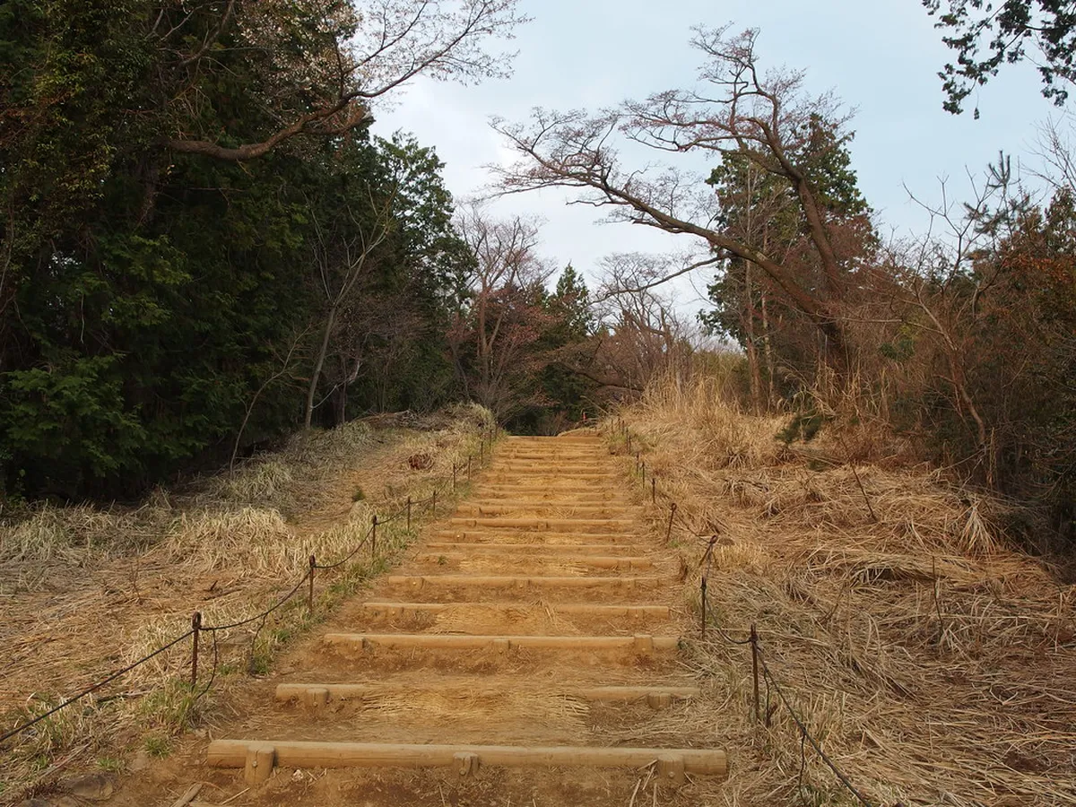 How to Hike Shiroyama Park Trails: 1-Day Guide