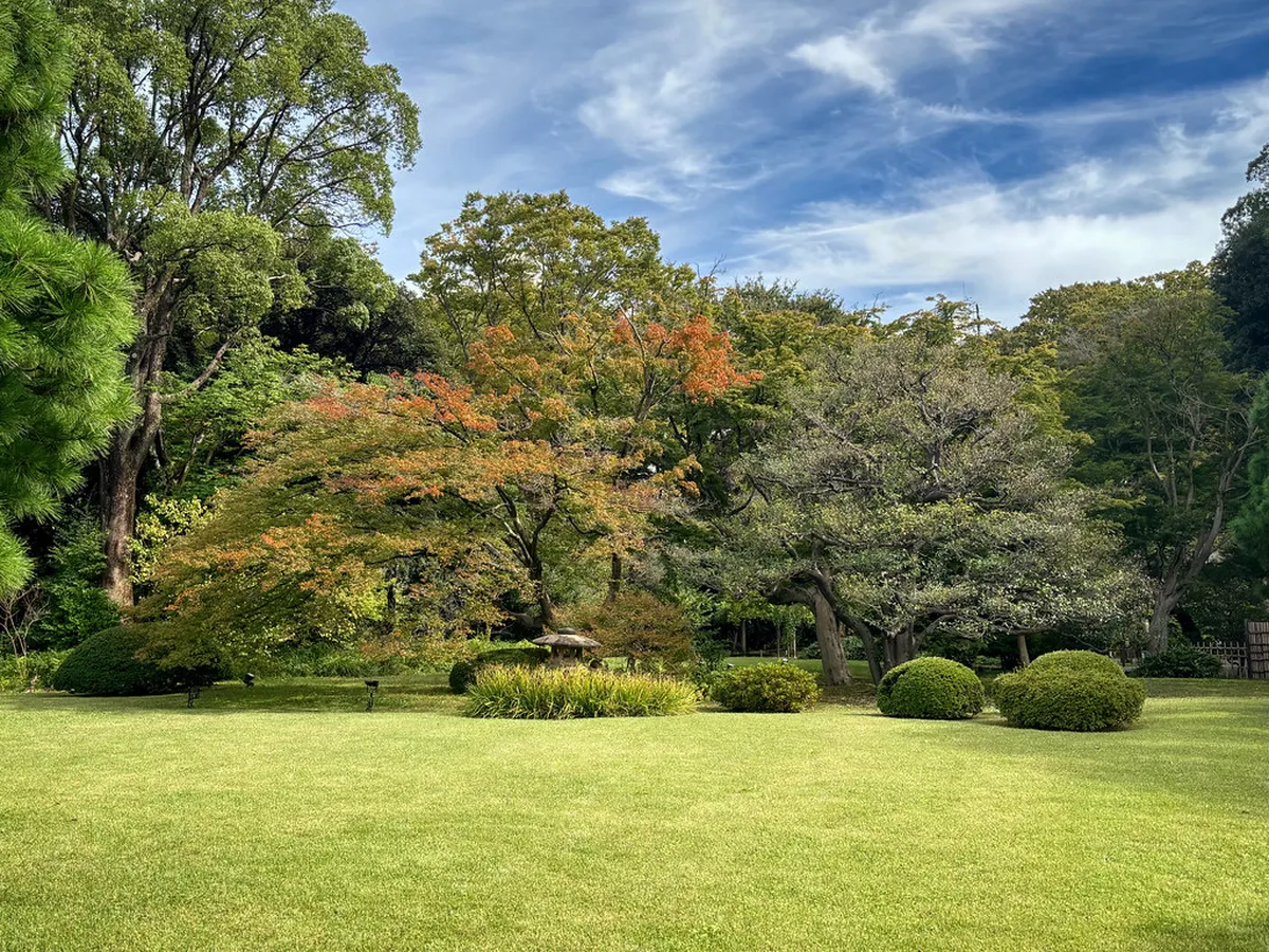 10 Best Hidden Nature Spots in Tokyo (2026 Guide)
