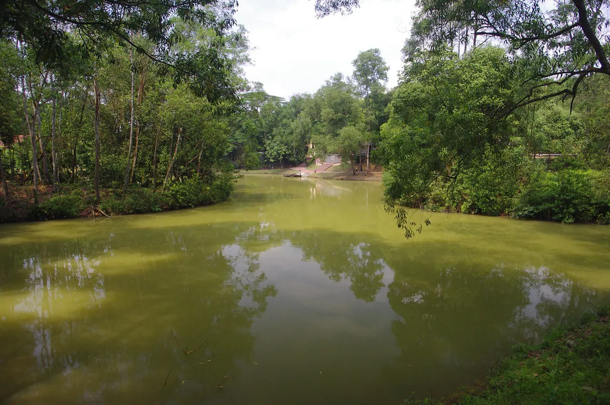 1-Day Hutan Bandar MBJB Nature Walking Route Guide