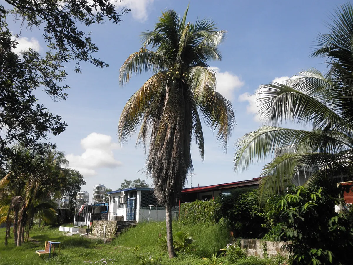 Free Parks in Kota Bharu: 2026 Budget Guide