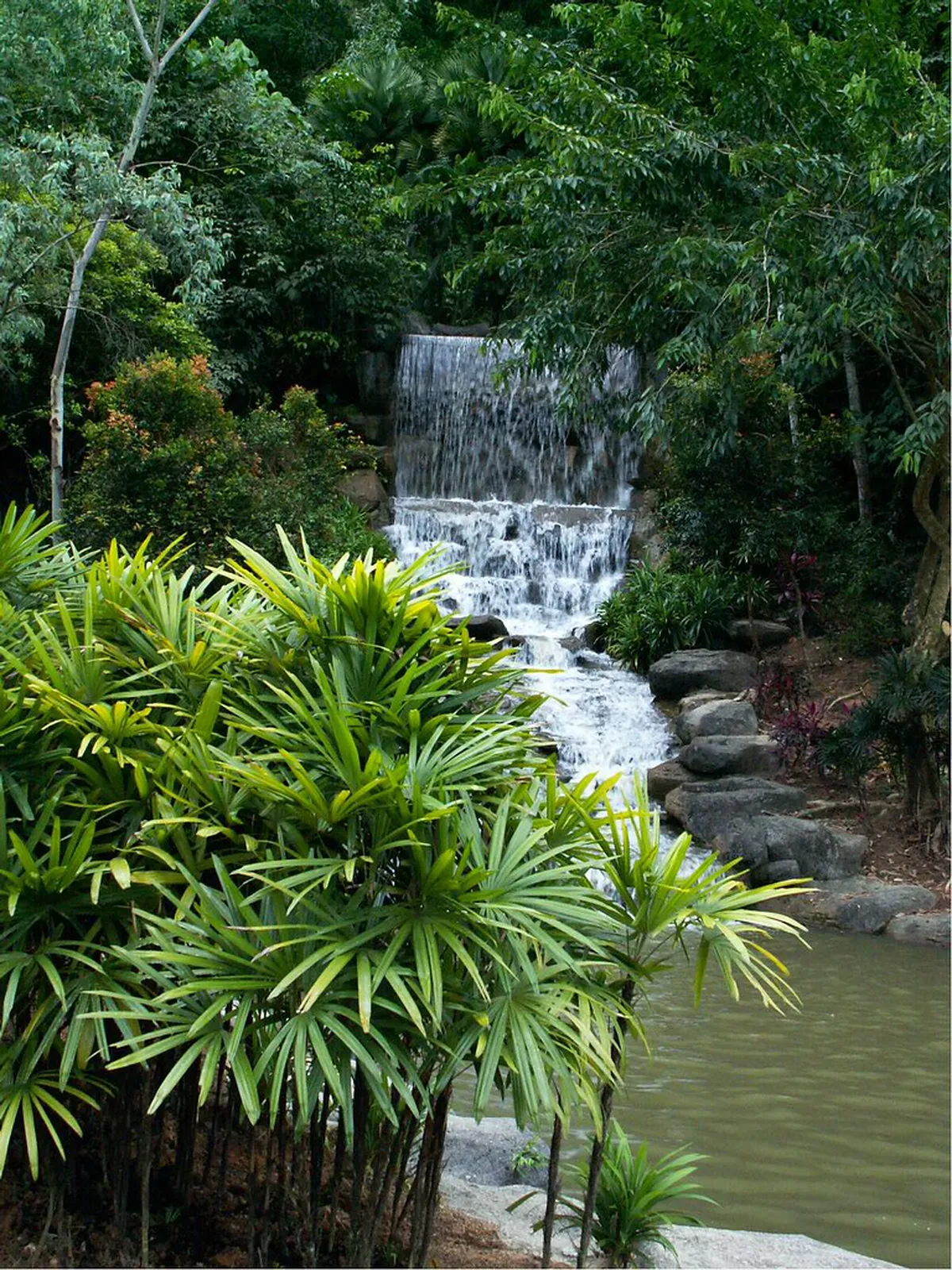 10 Best Things in Bukit Kiara Park, Kuala Lumpur