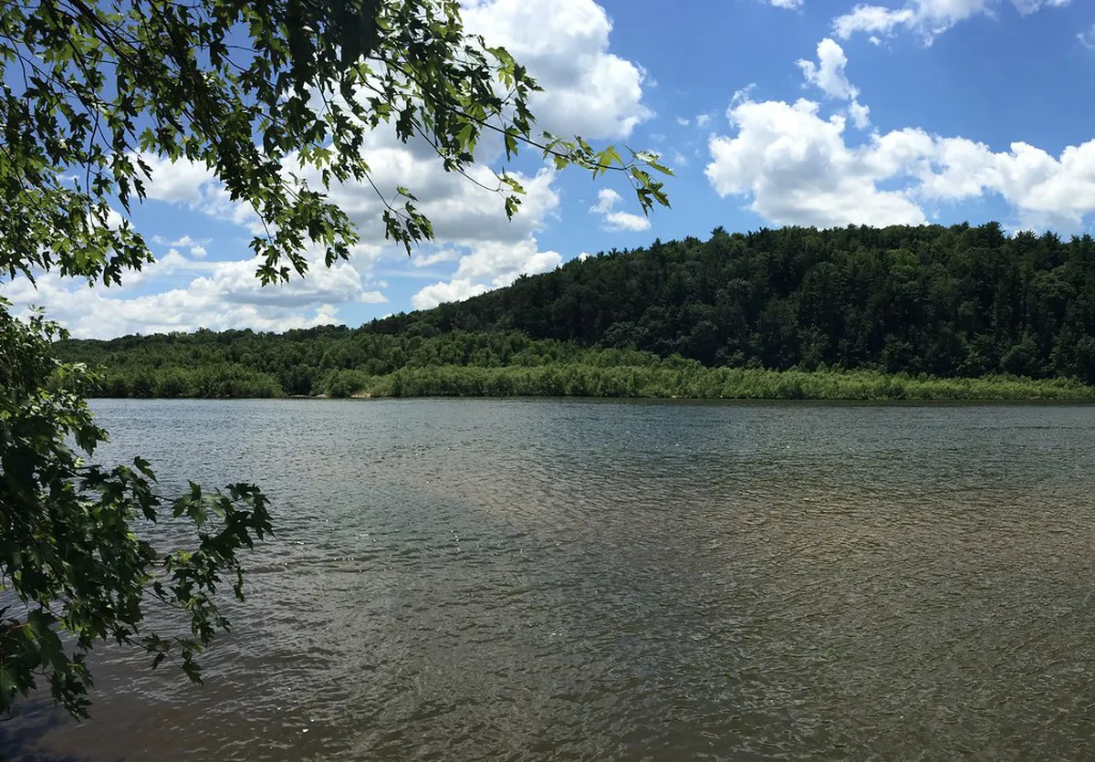 10 Quiet Nature Spots for Birdwatching in Kuching