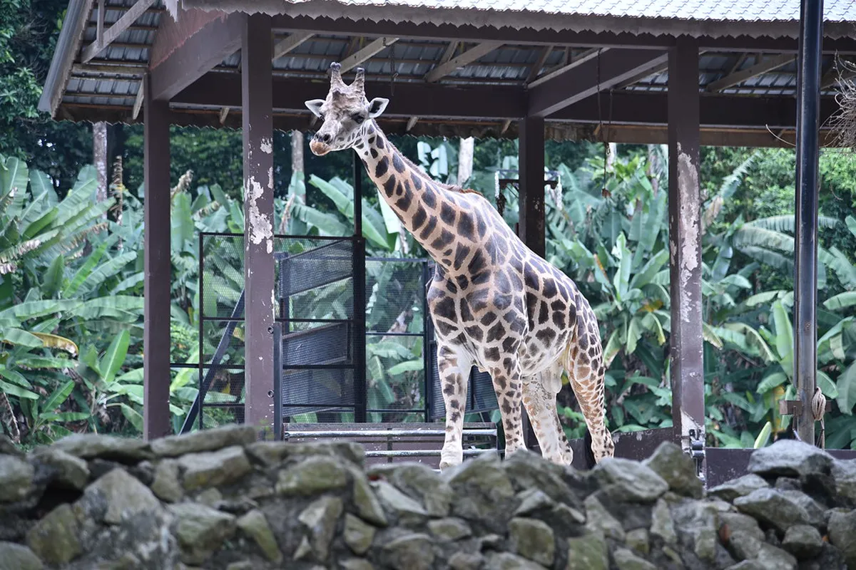 Wildlife Spotting in Melaka City: 10 Best Nature Spots