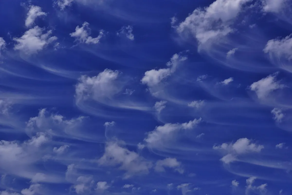 How to See Blue Tears Tusan: A Miri Travel Guide