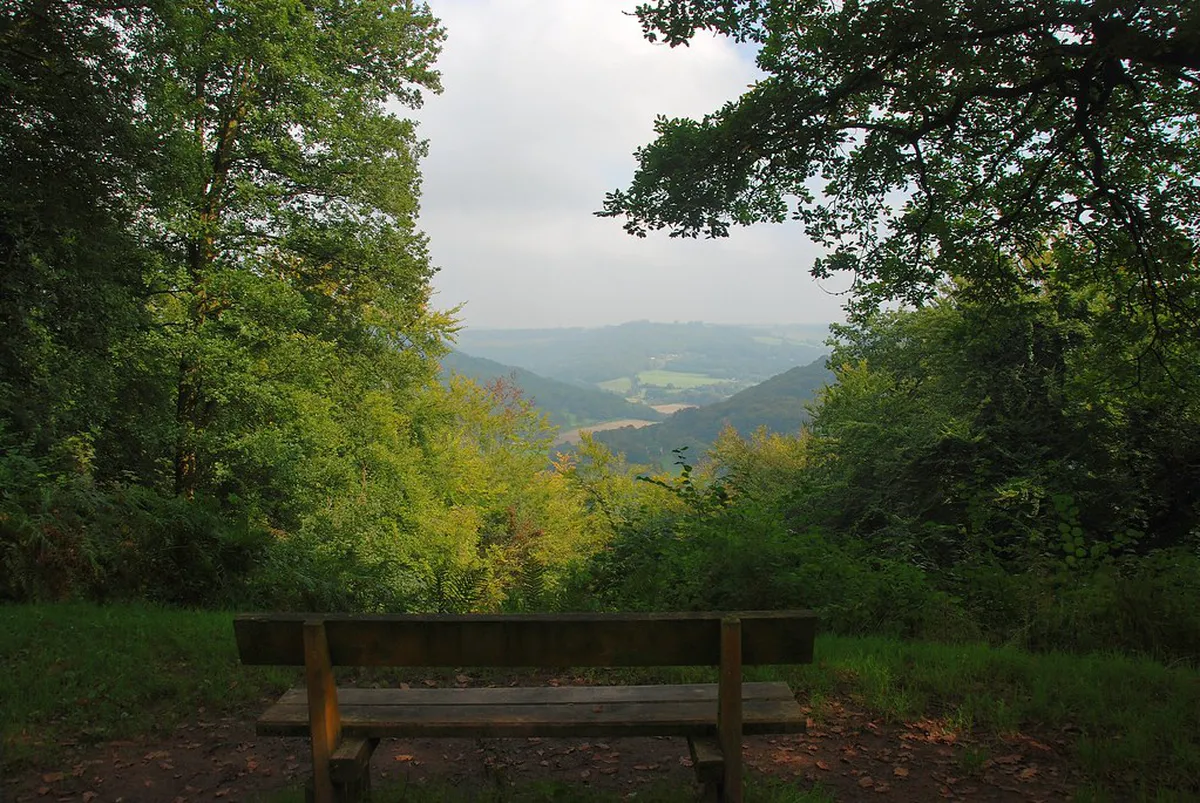 How to Find Free Wildlife in Sandakan: Budget Guide