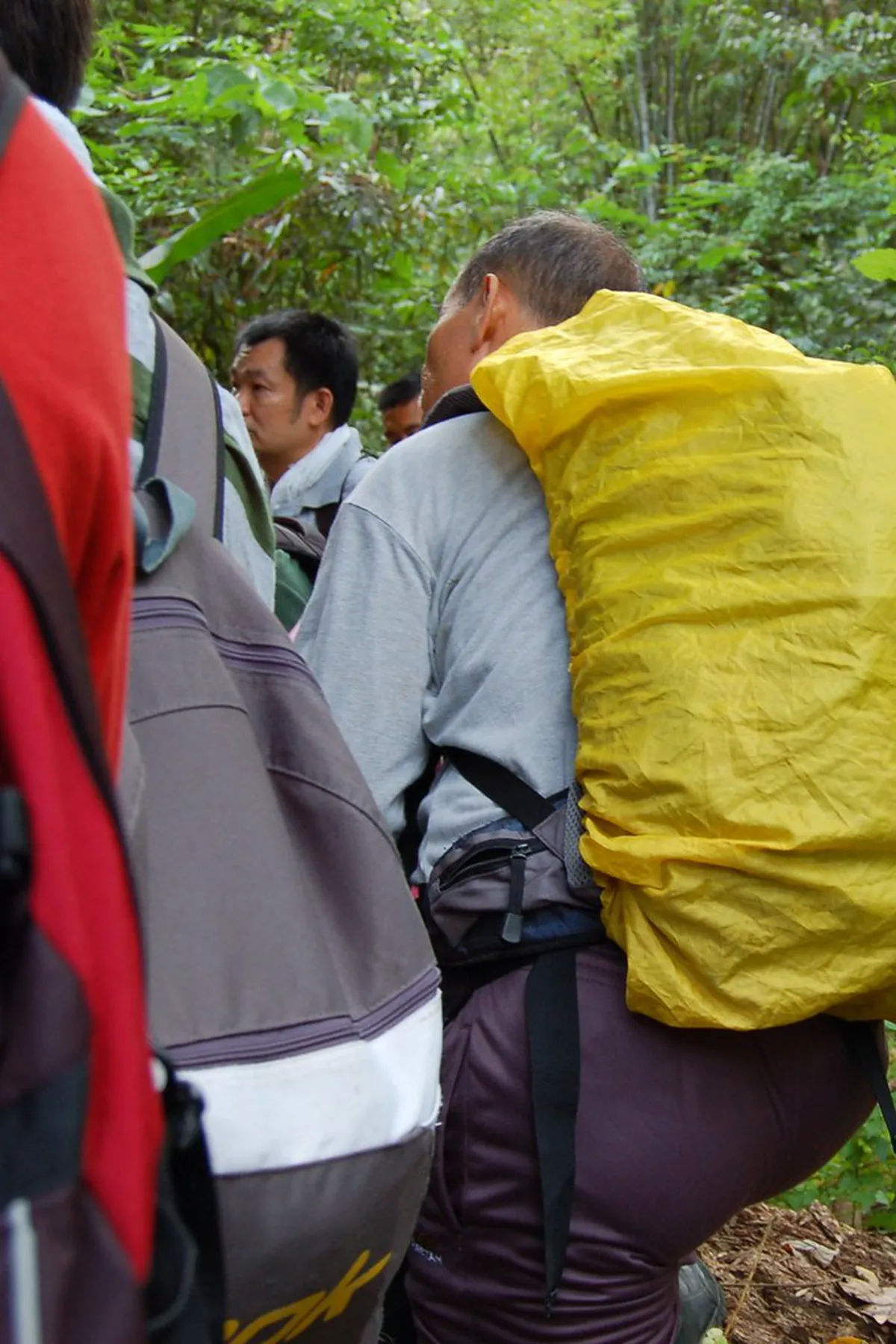 2-Day Bukit Larut Hiking Trails for Beginners Guide