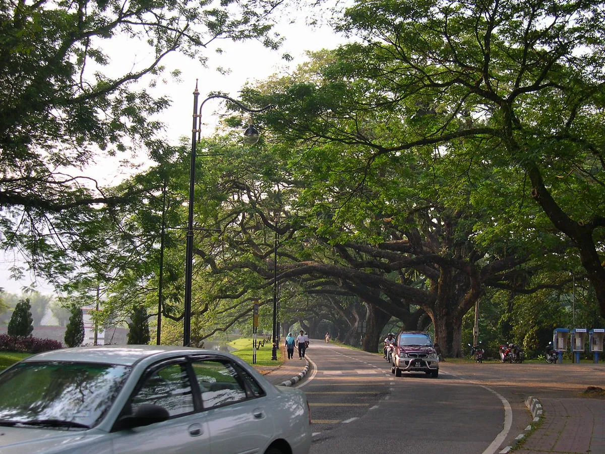 1-Day Taiping Lake Gardens Raintree Walk Itinerary