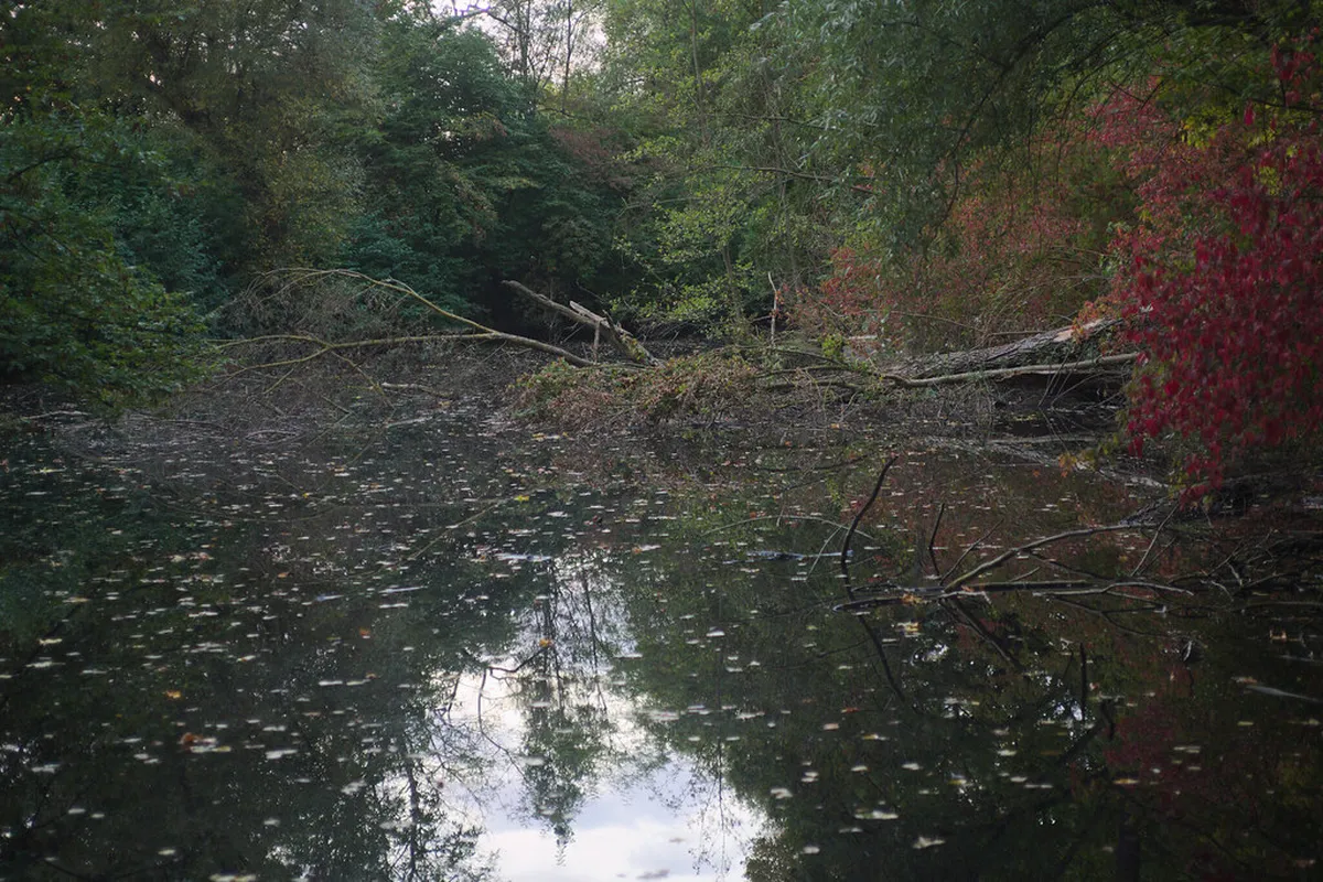 10 Quiet Nature Spots in Baguio for a Peaceful Escape