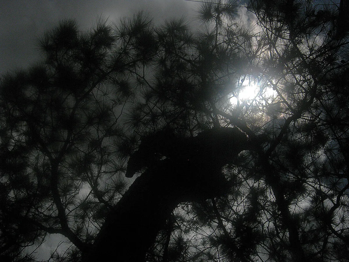 10 Top Scenic Viewpoints in Baguio: Best Mountain Views