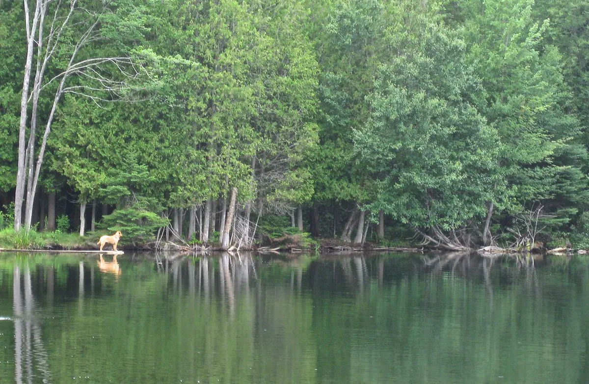 10 Best Mangrove Walks in Coron Town (2026 Guide)