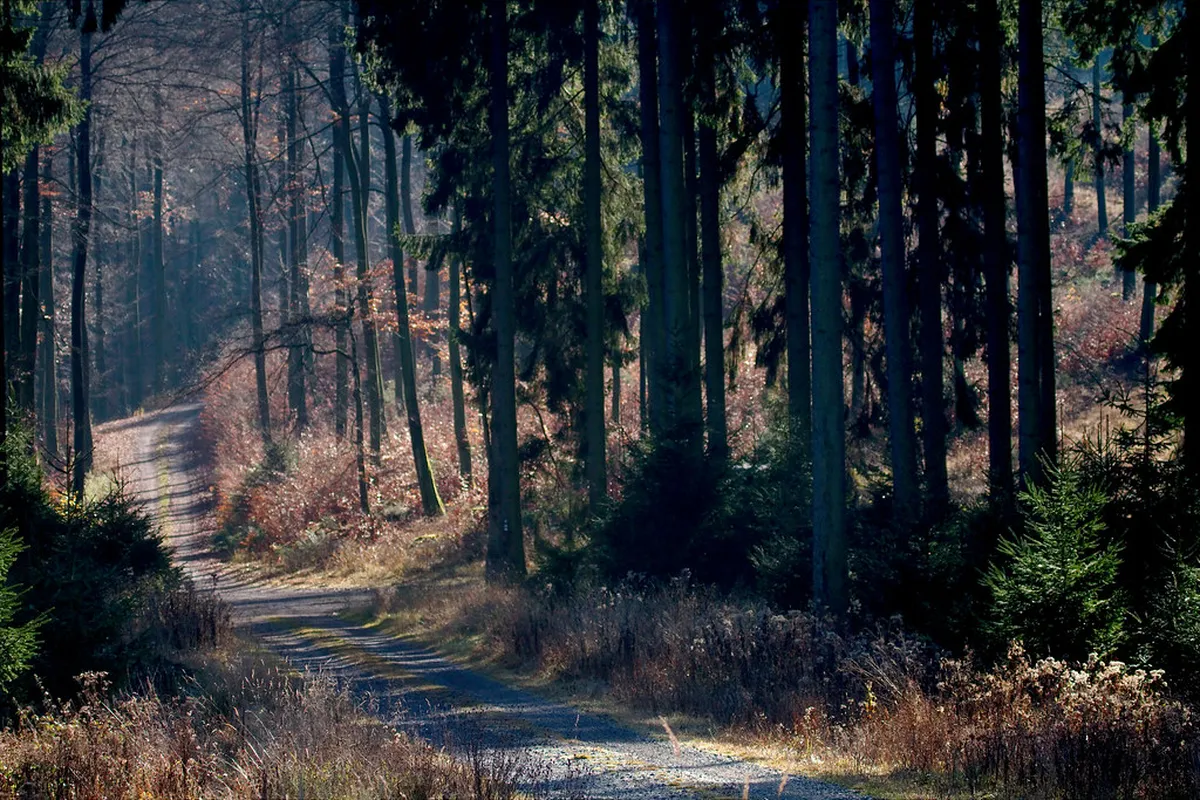 Free Nature Walking Route in Dumaguete Budget Guide