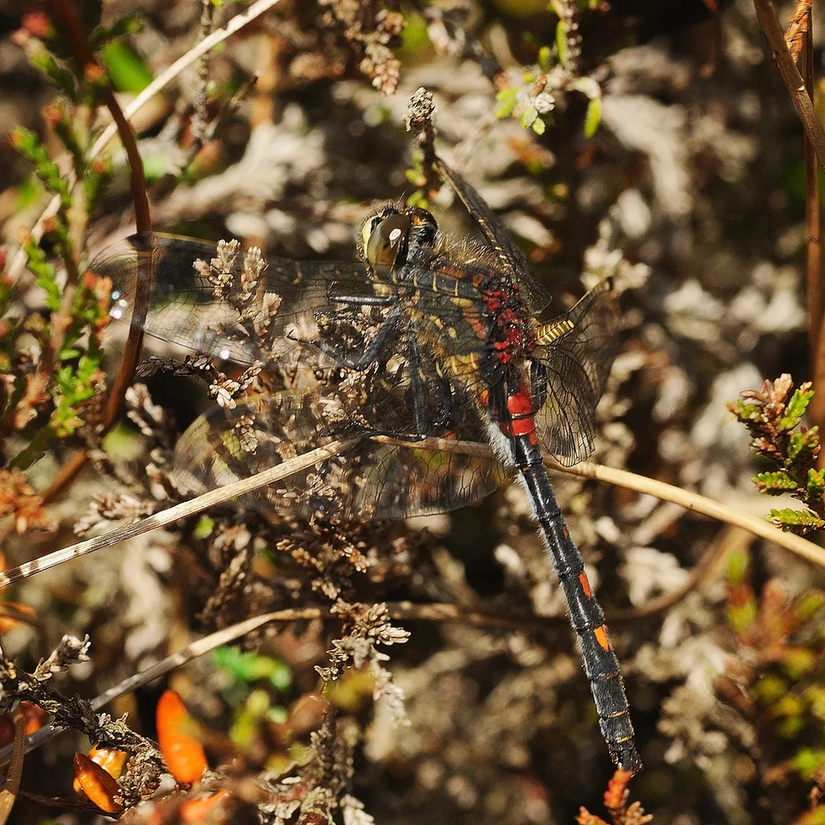 Top Free Nature Spots in Dumaguete: 2026 Budget Guide