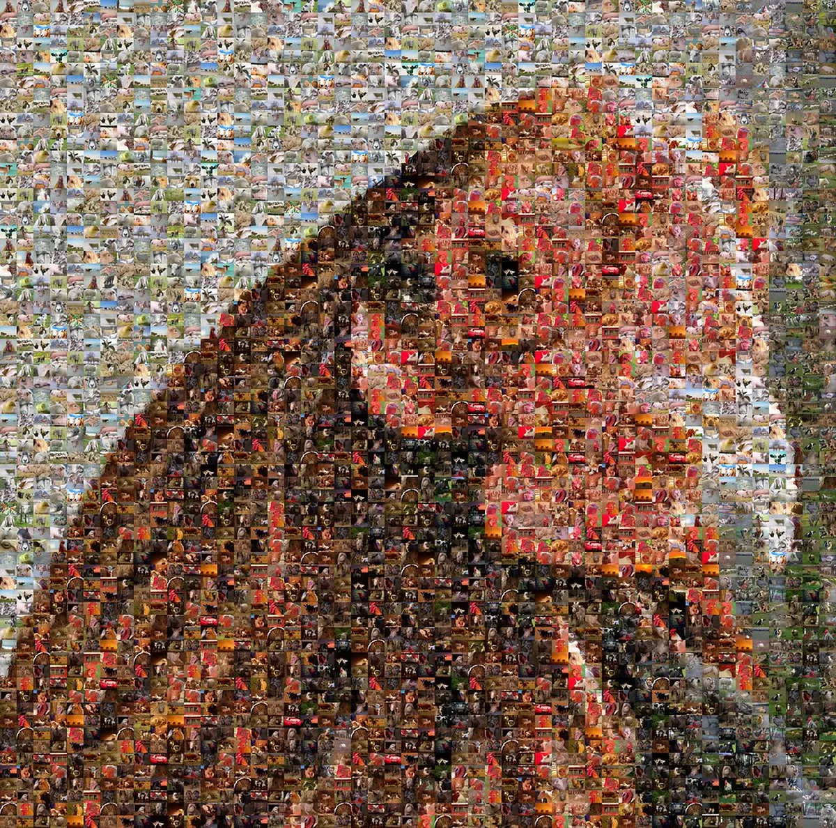 10 Best Bird Watching Spots in Iloilo (2026 Guide)