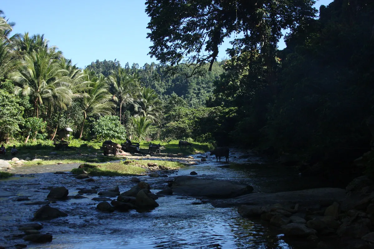 How to Find Hidden Beaches in Puerto Galera Accessible by Foot