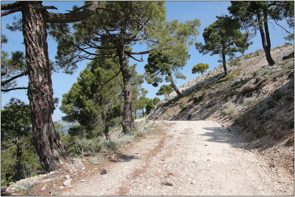 Walking Route to Puerto Galera Mangrove Forest: 1-Day