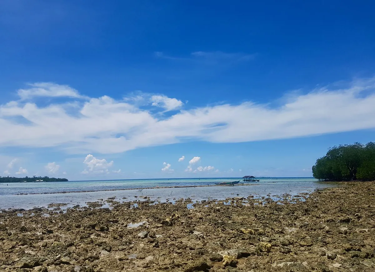 Guide to Free Beaches in Puerto Princesa 2026