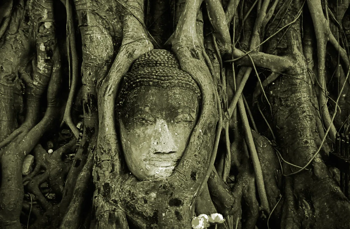 Ayuthaya Free Nature Walking Route: Budget Guide 2026