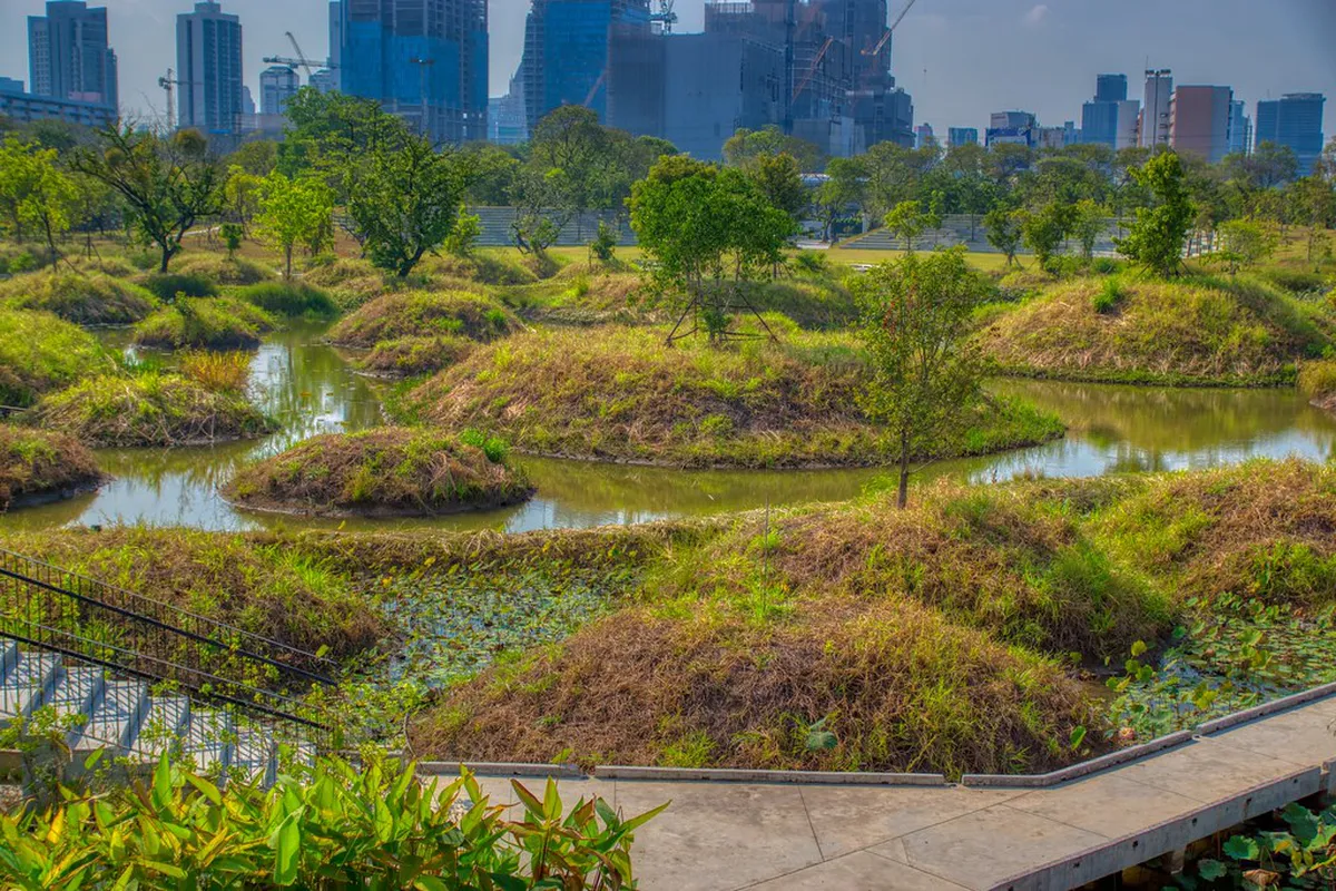 10 Best Benjakitti Forest Park Photo Spots in Bangkok