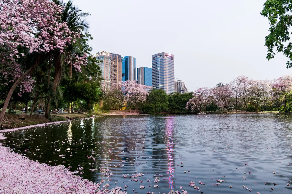 Wachirabenchathat Park Rental Prices: 2026 Budget Guide