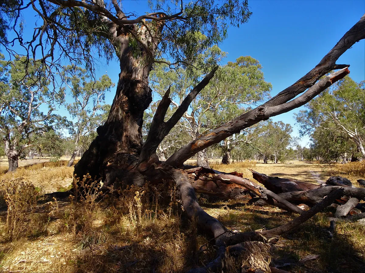 Free Nature Activities No Fees in Chiang Rai Guide