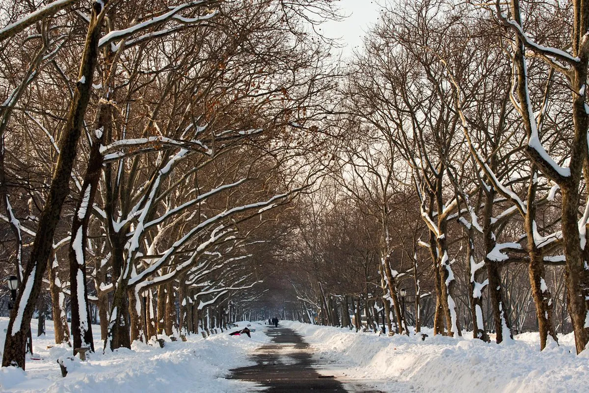 9 Best Riverside Parks in Lampang Town for Relaxing