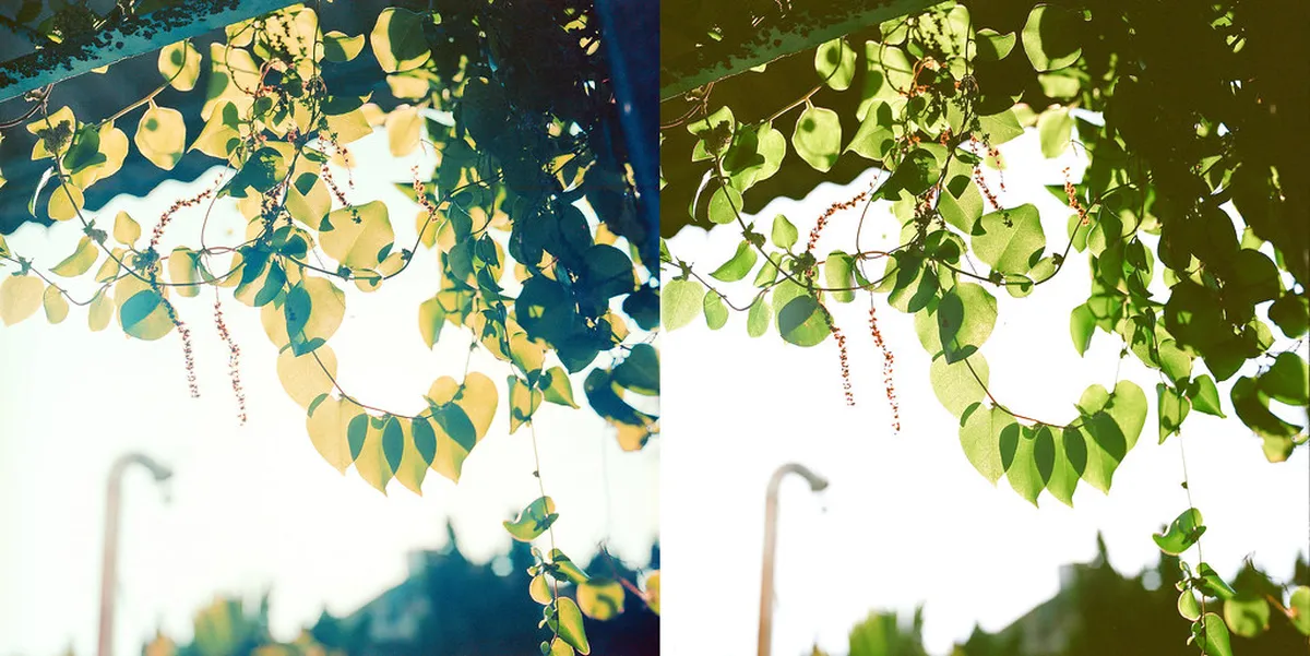 Comparing Lampang Nature Parks for Families: Top 9 Picks