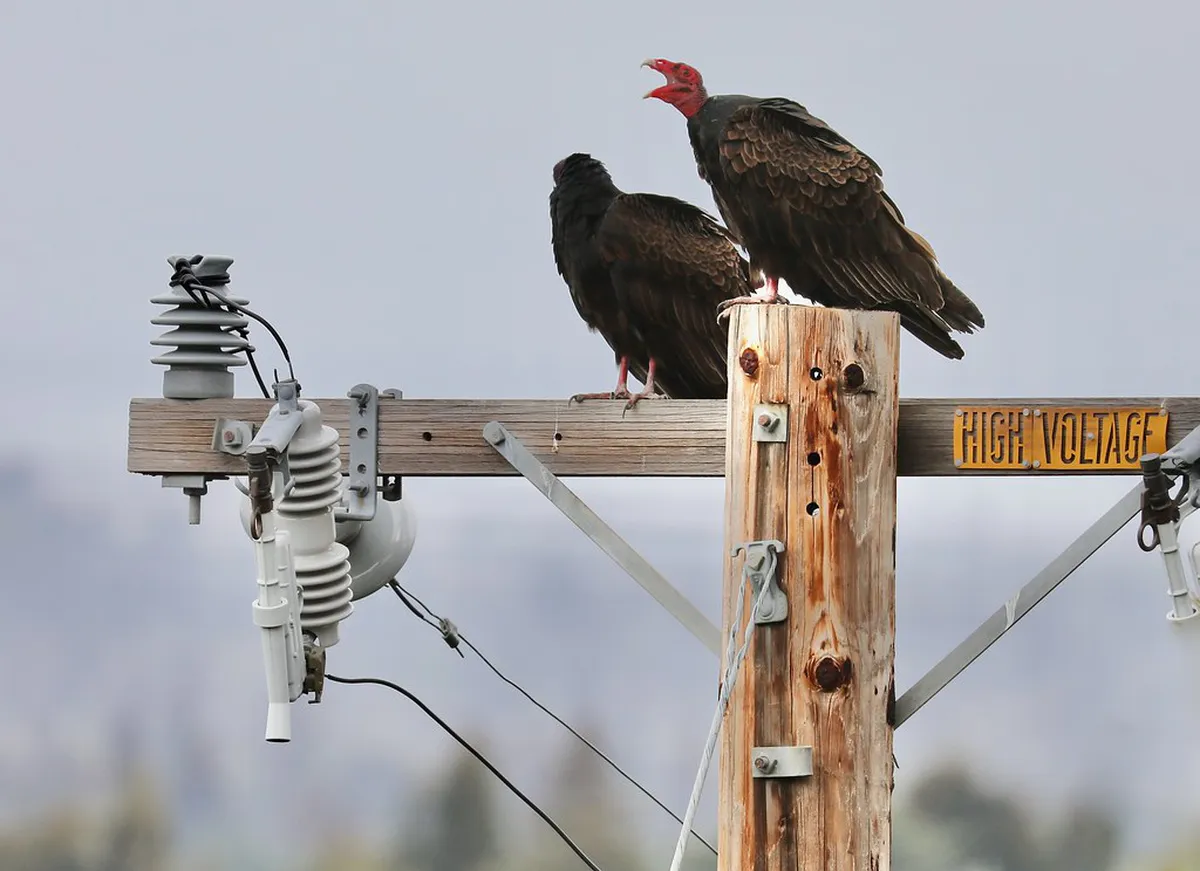 How to Reach Doi Phra Chan Temple: A Complete Guide