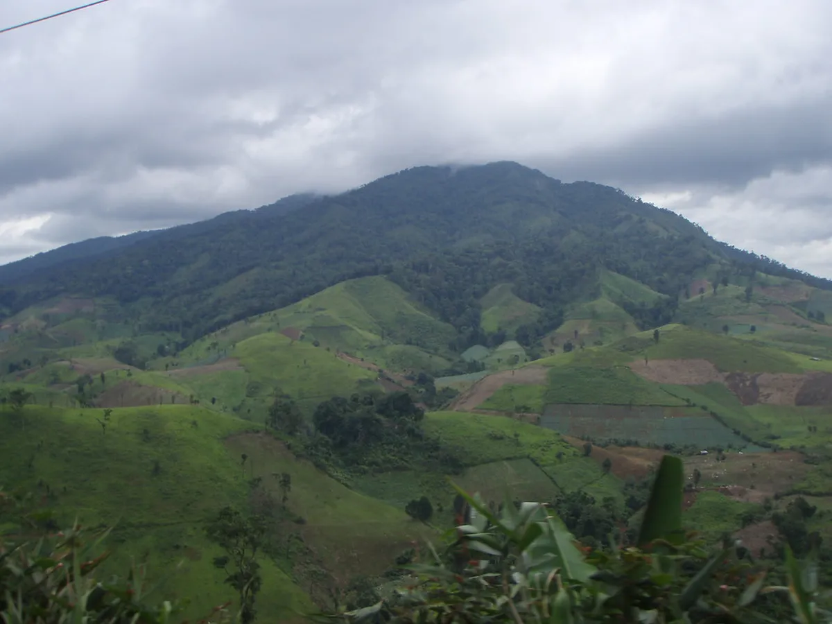 10 Best Mae Sot Jungle Photography Spots for 2026