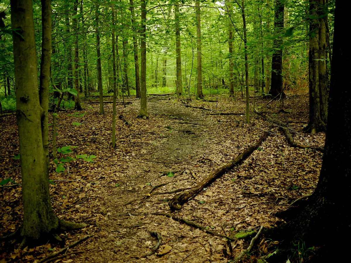 10 Best Hidden Nature Trails in Pai for 2026