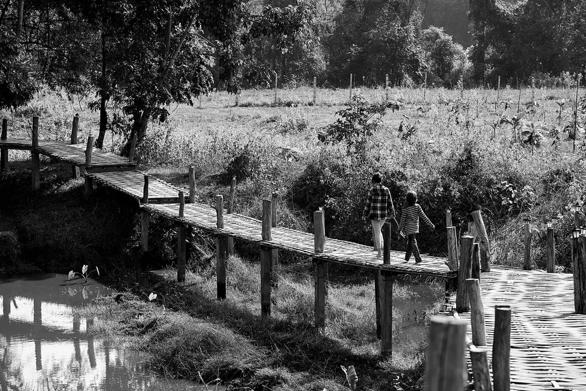 1-Day Pai Bamboo Bridge Walking Route Guide