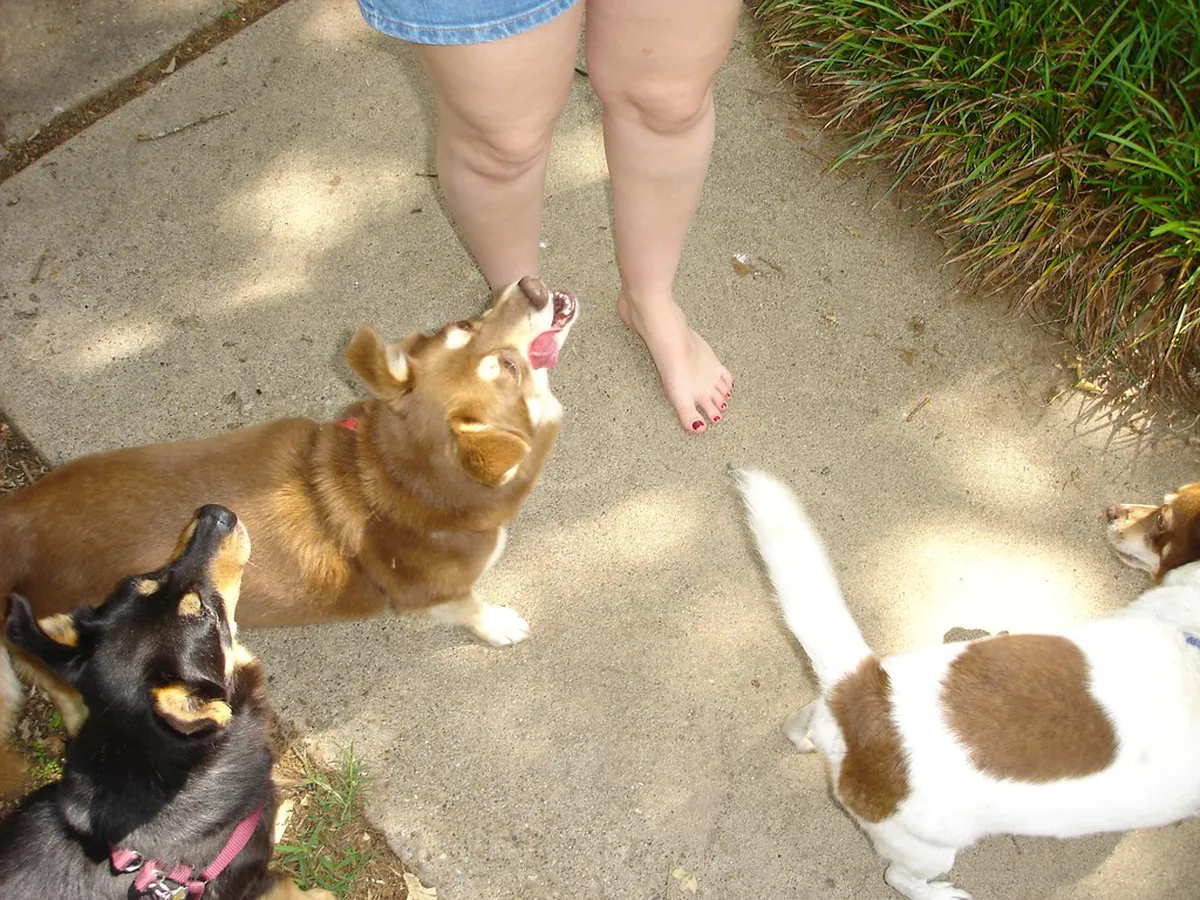 Best Time for Khao Rang Sunset: Seasonal Guide