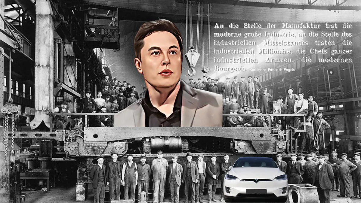 Best Time for Trat Mangrove Fireflies: Seasonal Guide