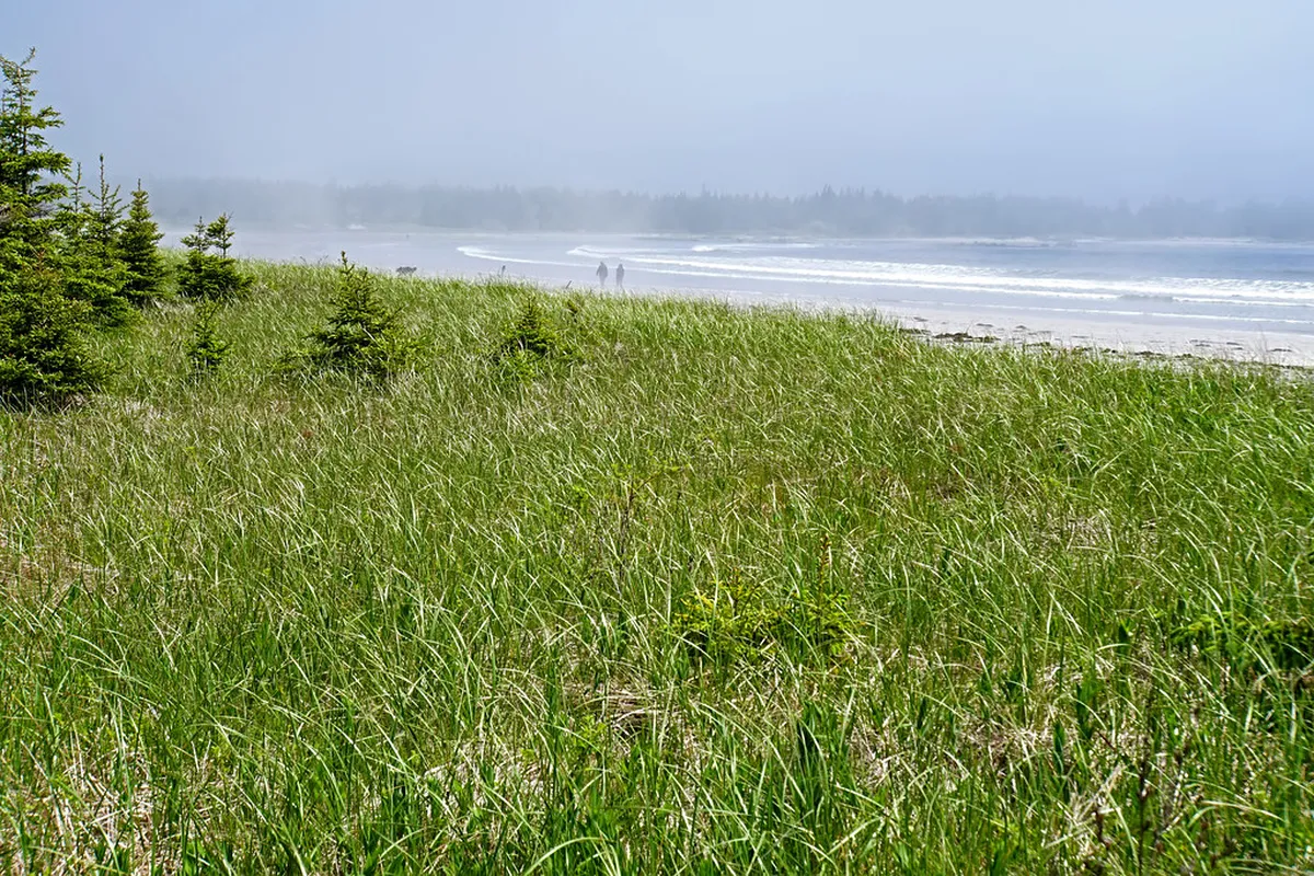 Free Walking Route along Ninh Kieu Wharf: Can Tho Guide