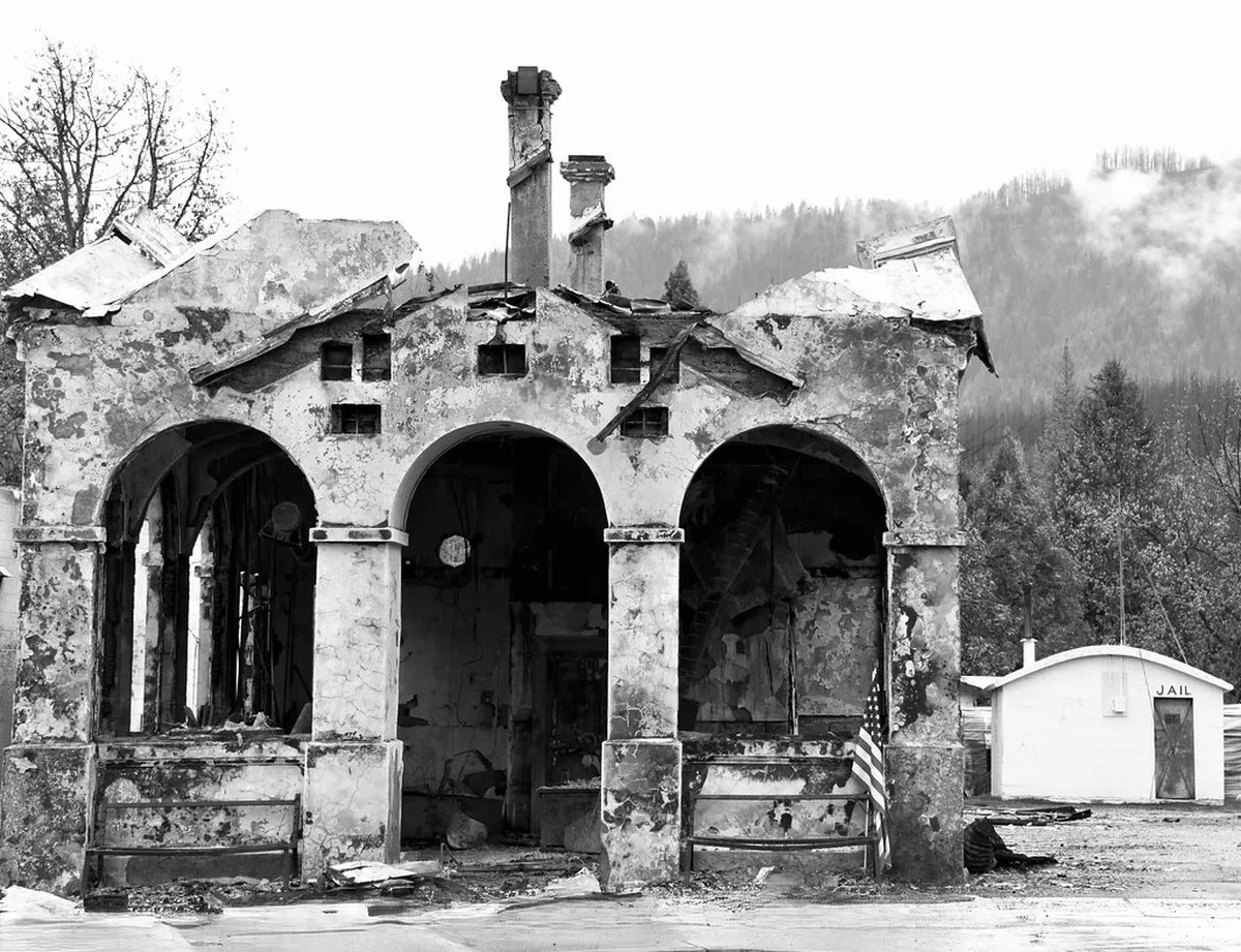 Free Pine Forest Photo Spots Dalat: Budget Guide