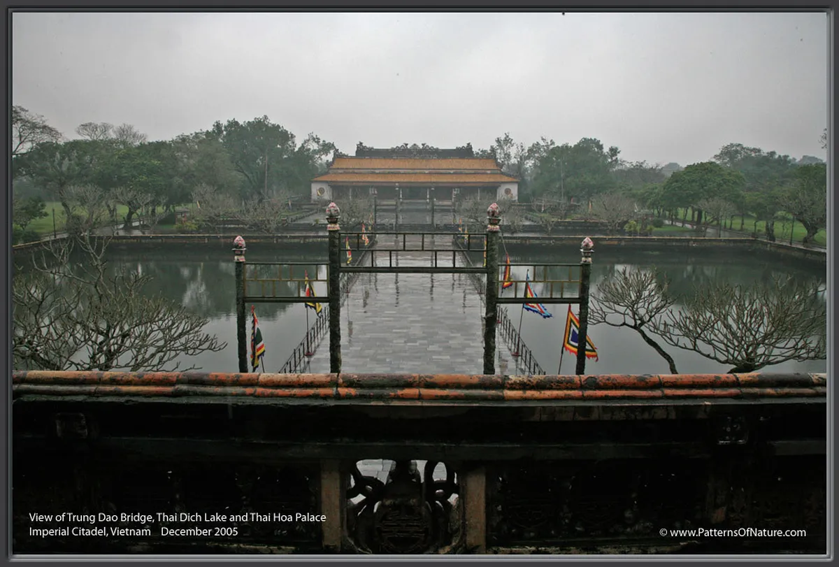 Hoa Trung Lake Danang Visiting Guide: Steps & Tips