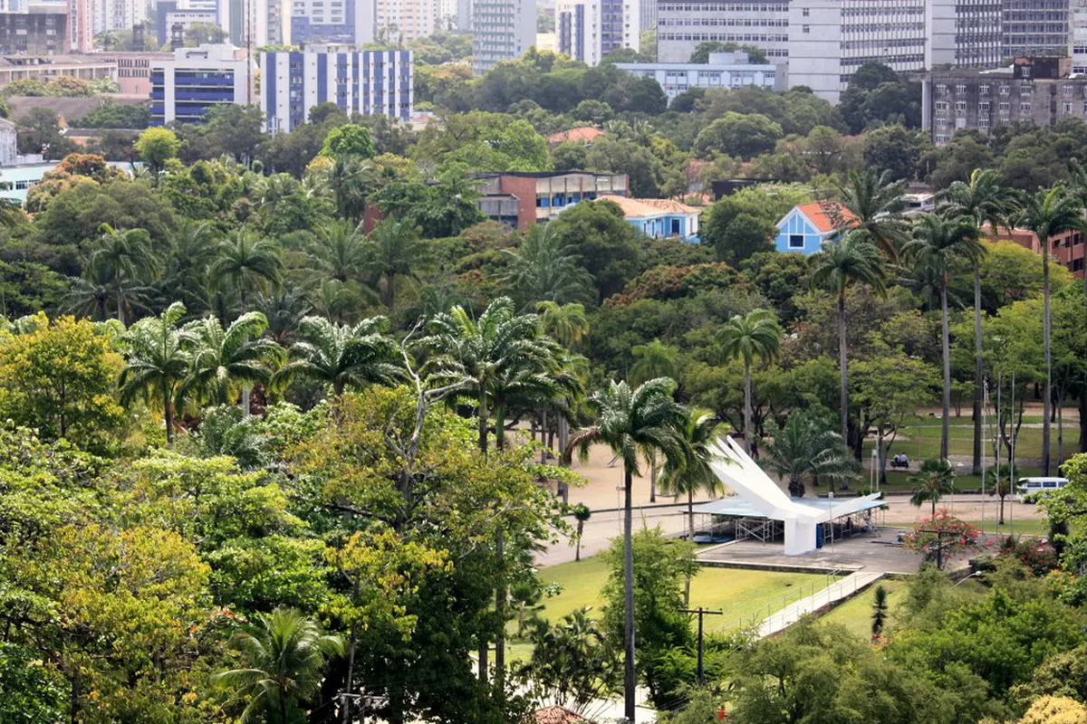 Nam O Reef Moss Season Guide: Best Time to Visit