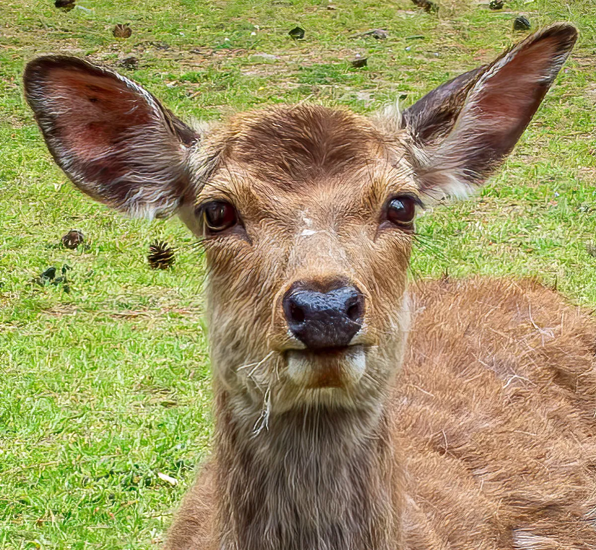 10 Scenic Public Parks in Haiphong City to Visit