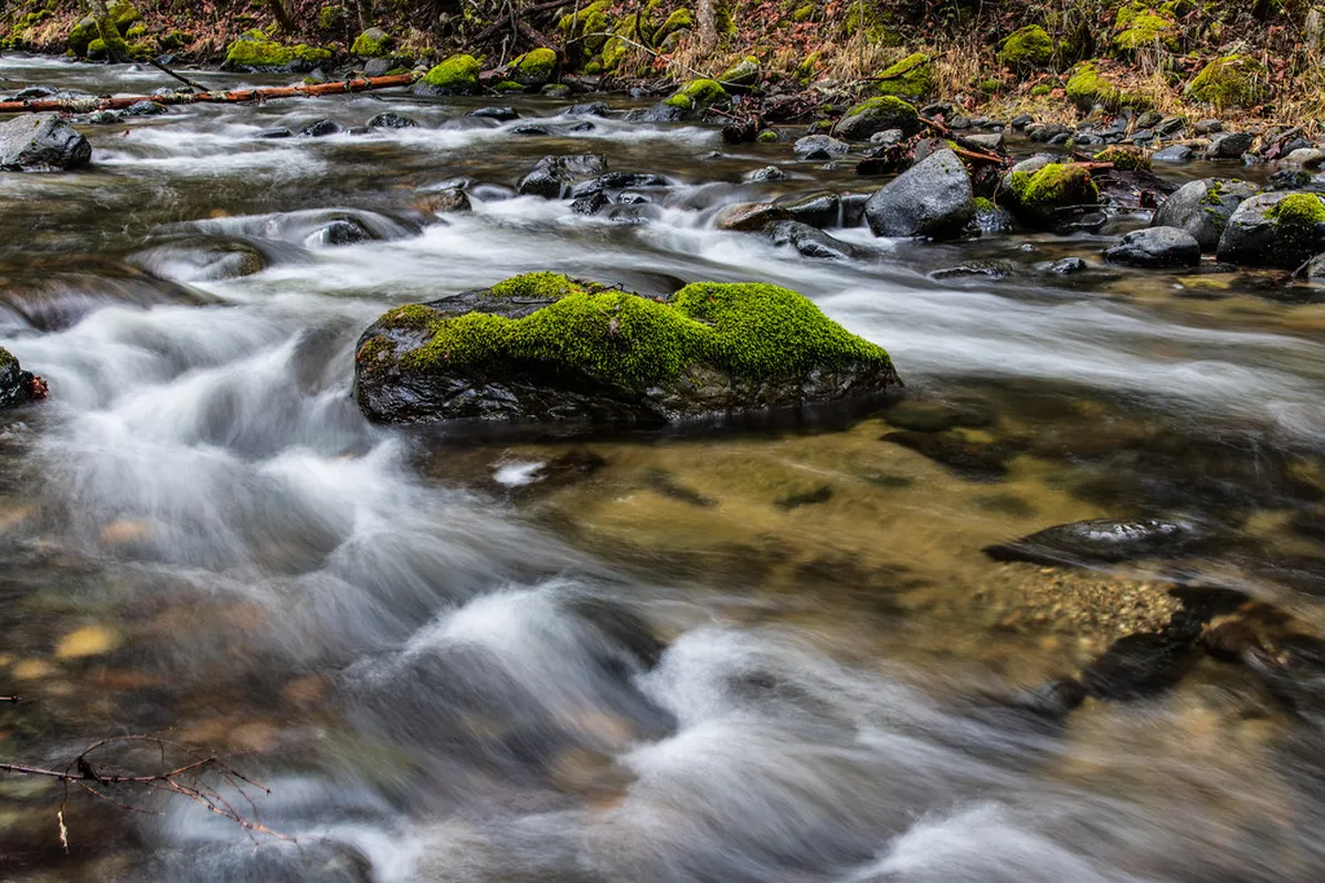 Walking Route Through Cat Bi Wetlands (1-Day Guide)