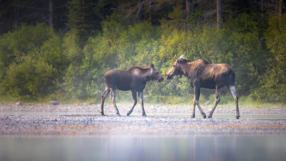 How to Visit West Lake Parks: A 2026 Hanoi Guide