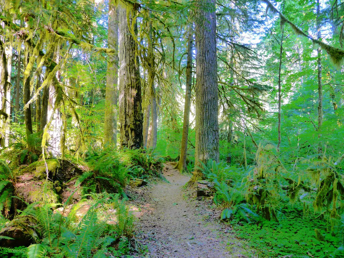 2-Day Guide to Scenic Walking Trails in Hoi An