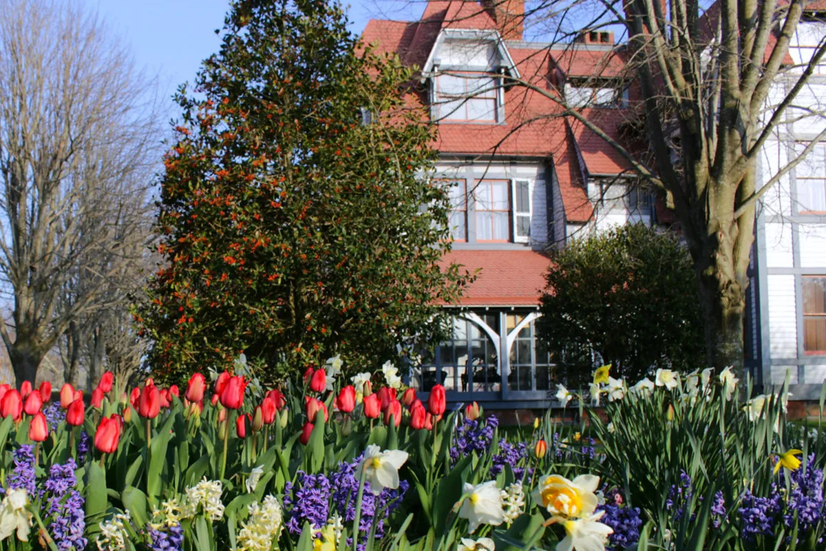 Top Free Parks for Nature Lovers in Nha Trang 2026