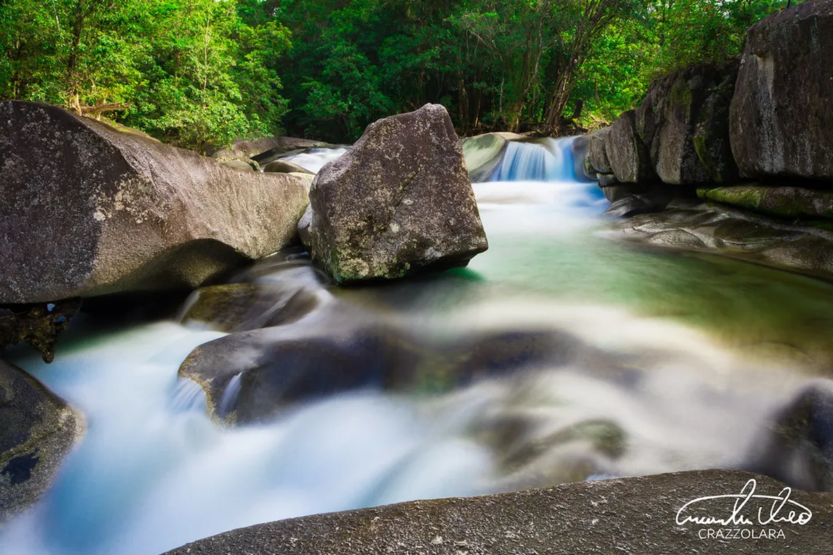 Most beautiful free forests in Sapa: 2026 Budget Guide